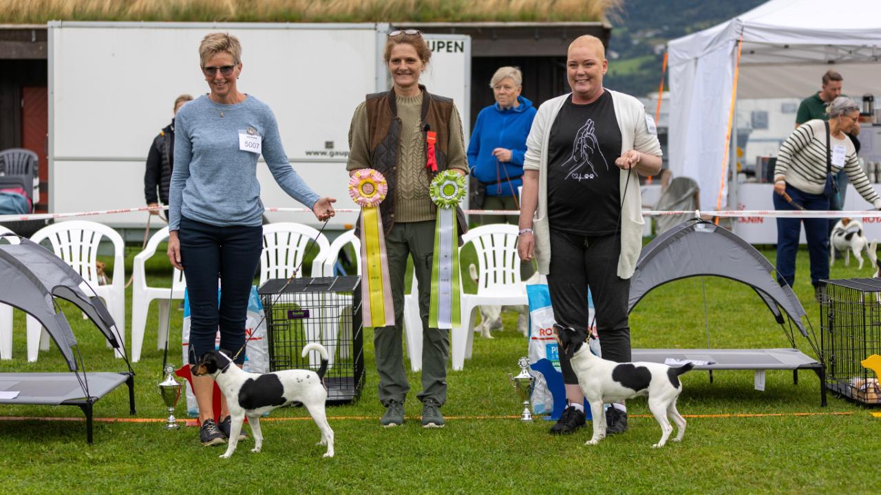 Bir og Bim Valp 6-9 mnd